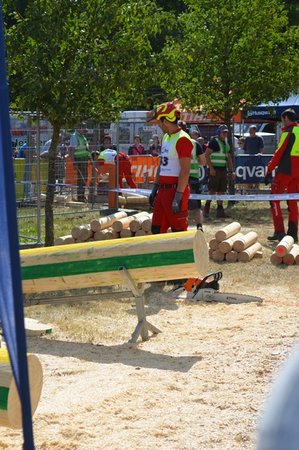 BE Forst Bewerbstag II