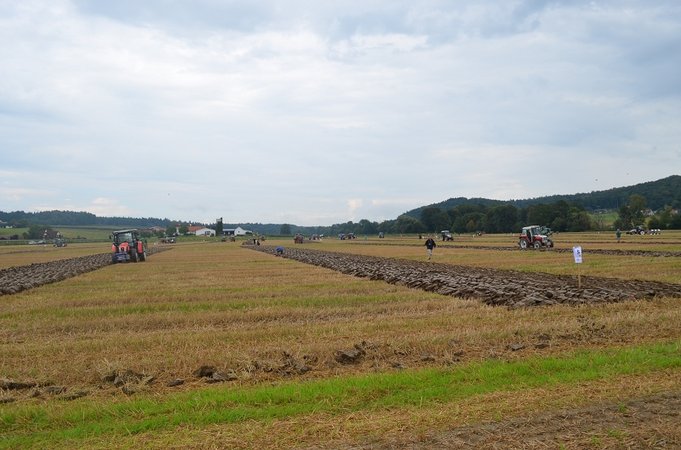 BE Pflügen: Offizielles Training